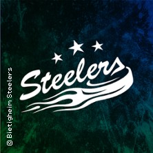 Bietigheim Steelers - Eisbären Regensburg 01.11.2026 EgeTrans Arena