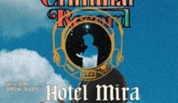 Dutch Criminal Record & Hotel Mira