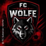 Der Verein stellt sich vor