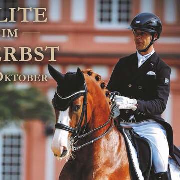 37. Herbstauktion - Elite im Herbst & Masterclass mit Benjamin WerndI 31.10.2026 Klosterhof Medingen